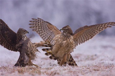 �� �� ���� ����� �������, �? :)