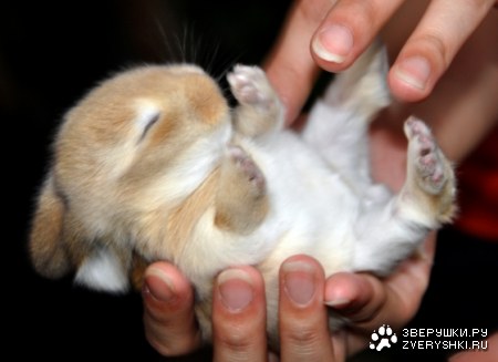 ������ ���� ;)