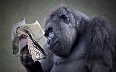 ���������� �������� (17 ����)