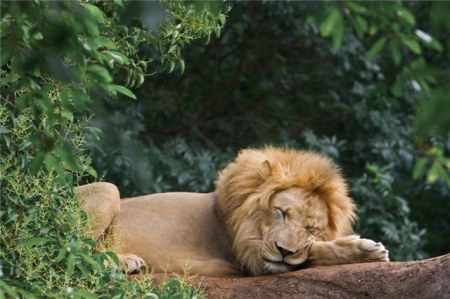 ���������� �������� (17 ����)