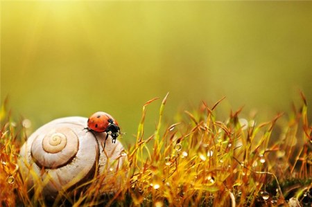 ���������� �������� (17 ����)