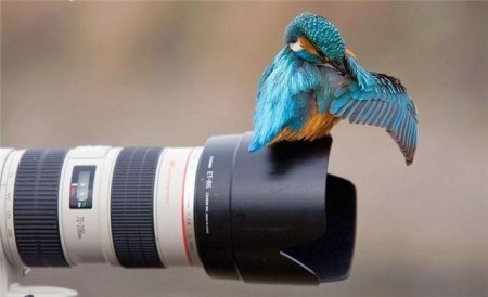 ���������� �������� (17 ����)