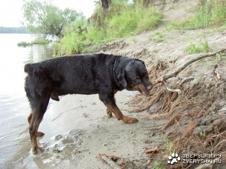 ���������... ;)