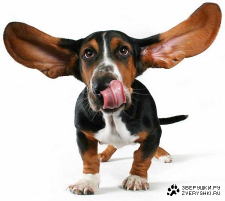 ���� ������ :)