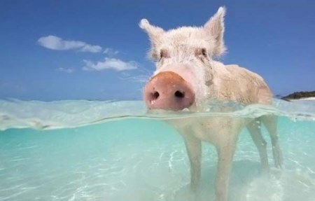 ��������� ������ (8 ����)