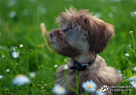 � ��� � ��� � �������? ;)