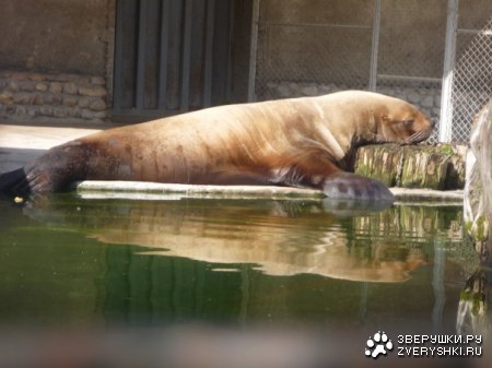 �������� �� ����������� �������� (11 ����)