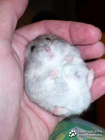 ��������� :)