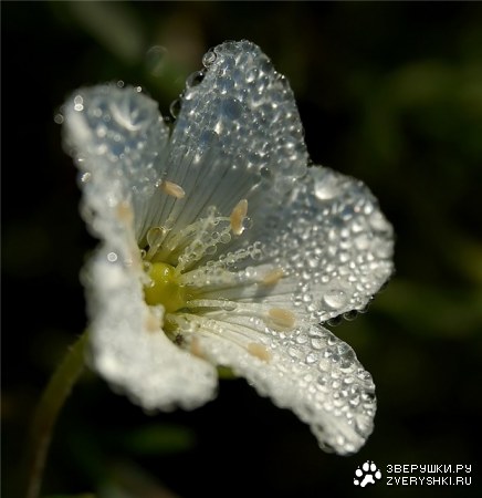 ����������� ��� ���! :)