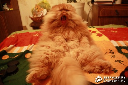 ��� �� ���, ��� ������! :)