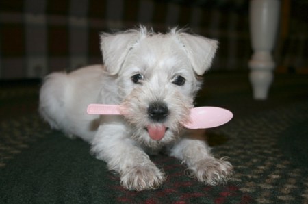 ��������� ����, ���������� :)