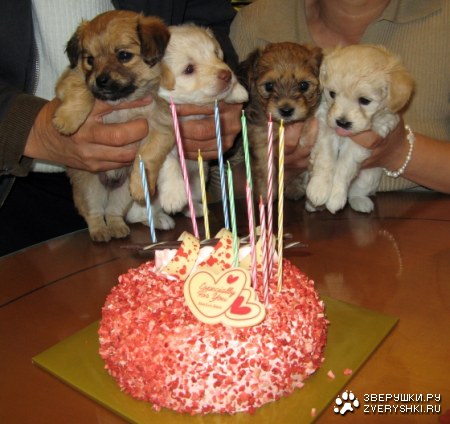 �������� � ��� ��������! :)