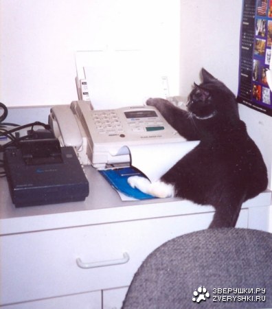 ������� � �� ����� :)