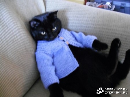 ������ �������� :)