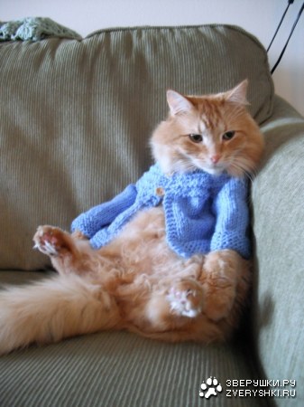 ������ �������� :)