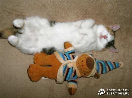 ���� ������� ������� :)