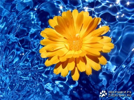 �������� ��� ��������� ��������! :)