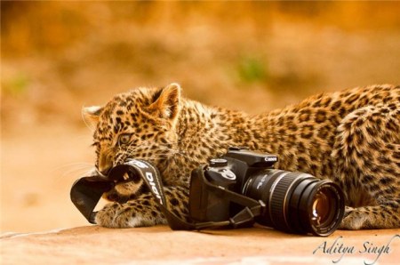 � ��������-�� ������� ��� :)