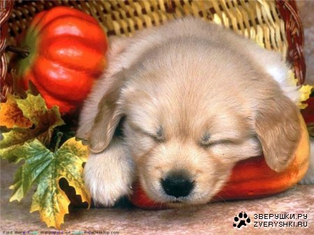 ���������� ��� ������������ :)