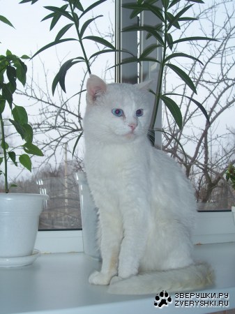 ������������ :)