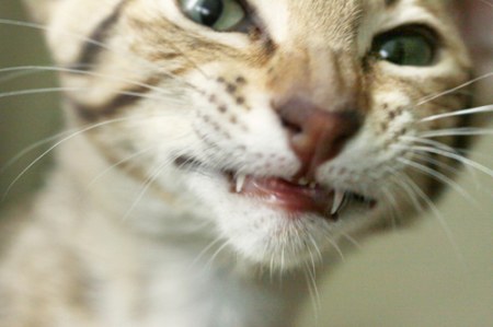 ����������, ��� ���� ���������� ;)