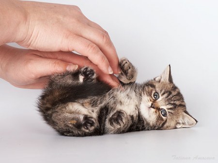 ��������� ������ ;)