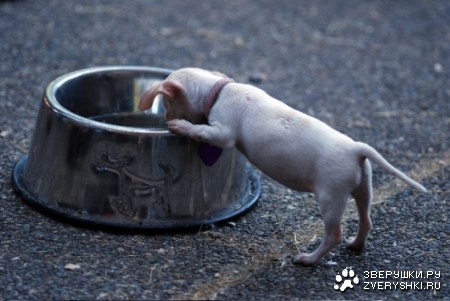 �������� :)