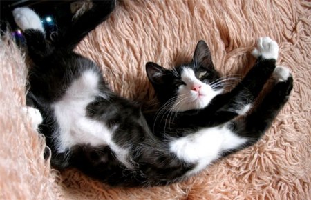 ��������� ;)