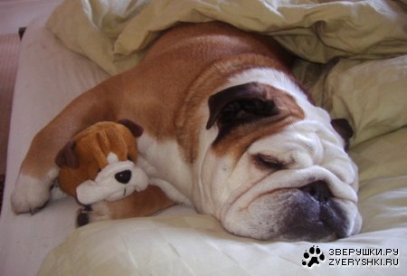 � ������� � ������� �������� :)