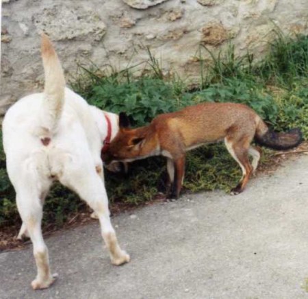 �������� ������� :)