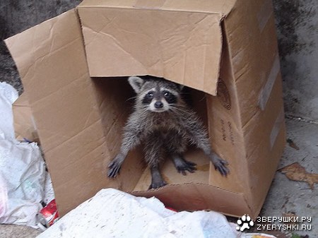 ����� ����������! :)