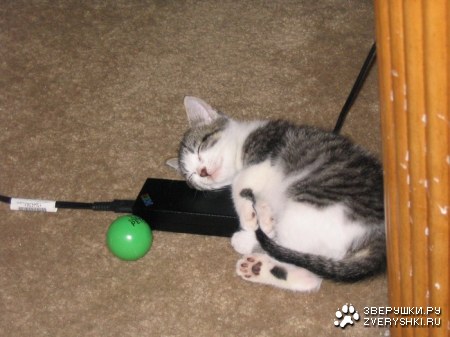 ����� ����������... :)