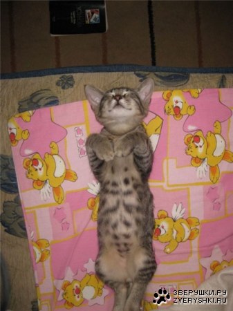 ������� ��� :)