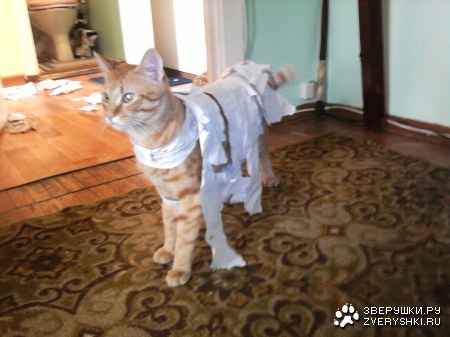 � ��� � ����� ����! (10 ����)