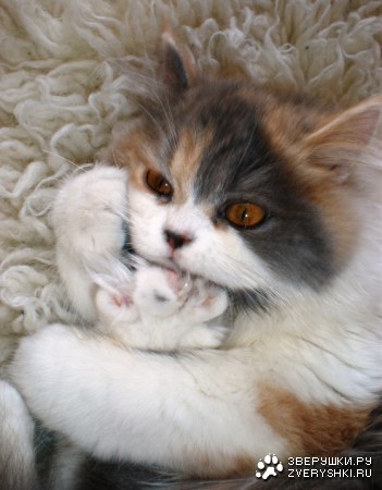 ��� ����, ������ � �� �����! ;)