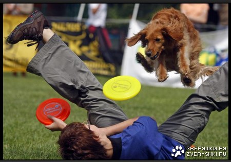 ������ ������ �������� (5 ����)