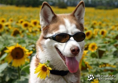 ϸ��� �� ������ :)