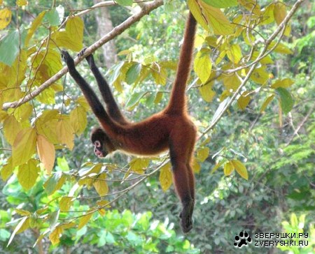 �������� ���������� :)