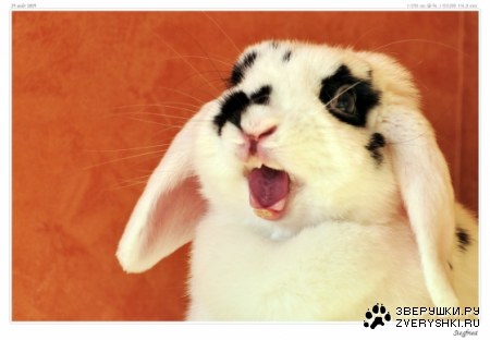 �� ����� ����� ����! :)