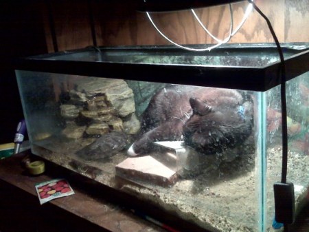 ����� ������� �����...