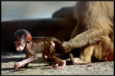 �������� �� ����� ���� (6 ����)