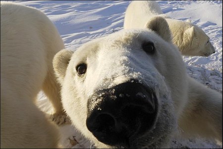 ����� �������