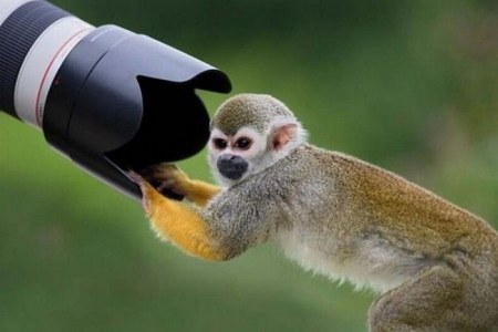 ��������-��������� (18 ����)