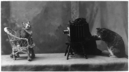 ��������-��������� (18 ����)