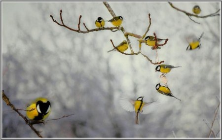 �������� ��� ���! :)