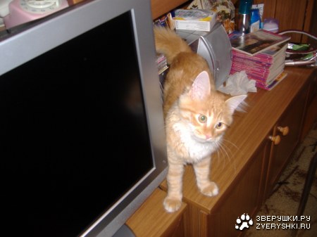 �����, �����, ���������... :)