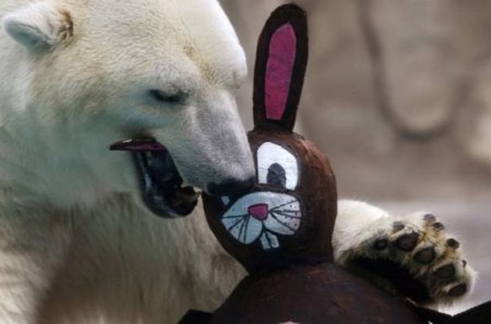 ������ �������� (16 ����)