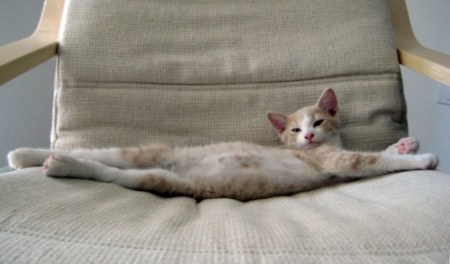 ����� ����� � ������� :)