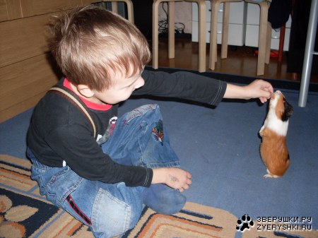 ������� ������ ��������� ����������� :)