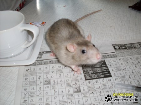 � ����� �����! ;)